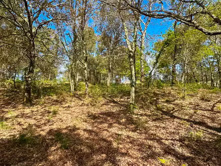 terrain viabilisé à vendre proche des plages
