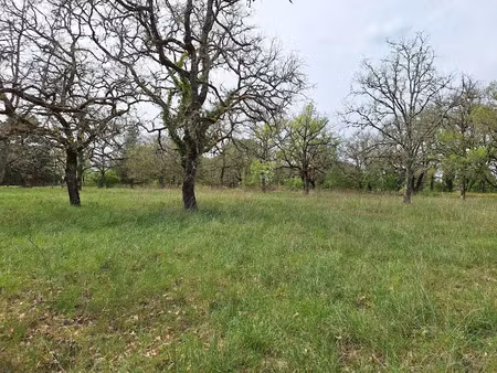 vente terrain 3680 m² à cahors (46000)  70 000 €