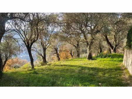 vente terrain 2800 m² à contes (06390)  290 000 €