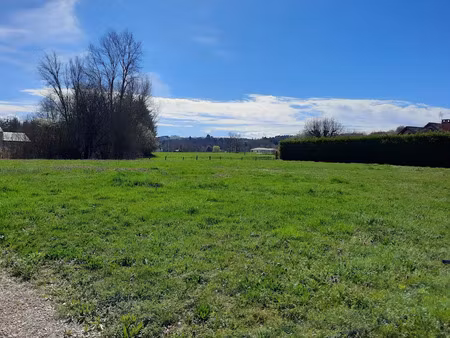vente terrain à courpière (63120)  39 000 €