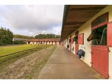 poigny la forêt 78125 ecurie 22 boxes carrière manège 1.5 ha