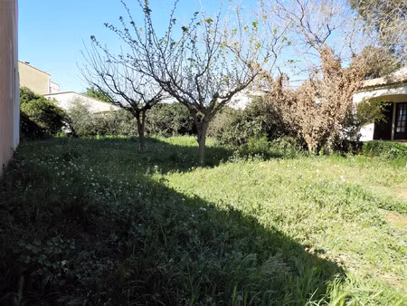 vente terrain 368 m² frontignan (34110)