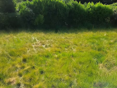 vente terrain 236 m² à guipavas (29490)  65 000 €