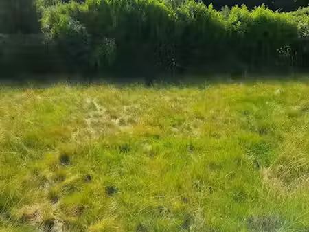 vente terrain 236 m² à guipavas (29490)  65 200 €