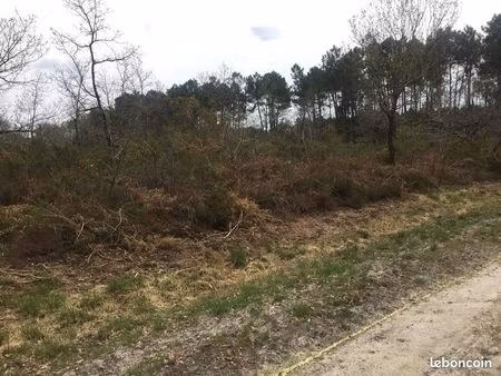 terrain 1 5 hectare le teich soit 14 679m2