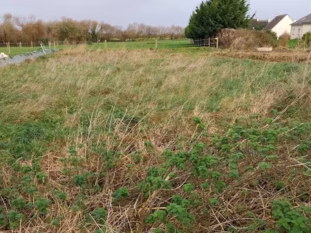 vente terrain 513 m² à plouénan (29420)  55 000 €