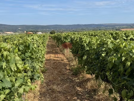 exclusivite terrains constructibles de 550m2   549m2 et de 5