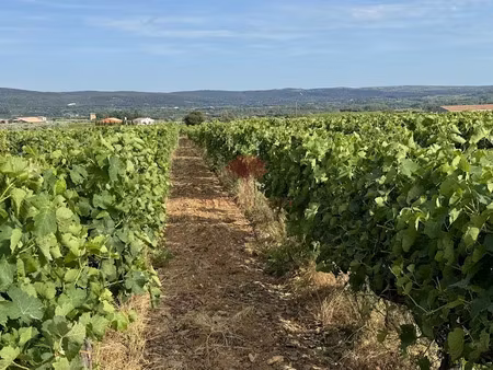 vente terrain 550 m² à saint-jean-de-fos (34150)  160 000 €