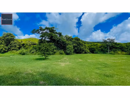 terrain de 1 090 m2 à vendre - sainte-anne