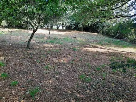 vente terrain à taupont (56800) : à vendre / 1888m² taupont