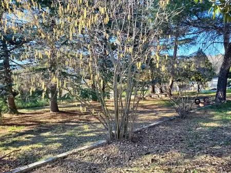 vente terrain à batir 1115 m² à berre-les-alpes (06390)  180 000 €