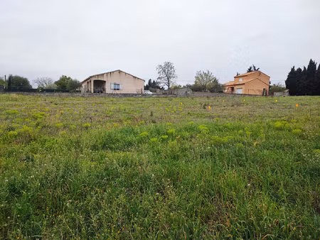 terrain constructible