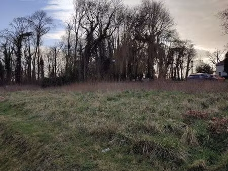 terrain 409 m² chailly en brie