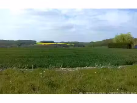 vente terrain 746 m² à lagery (51170)  66 000 €