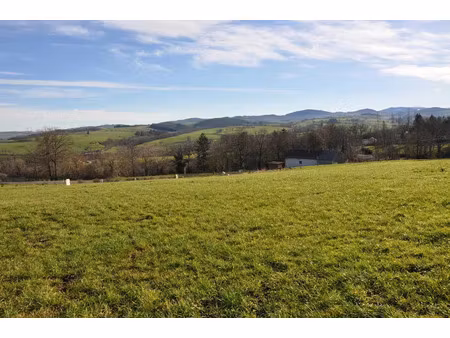 vente terrain 1155 m² à le breuil (03120)  19 825 €