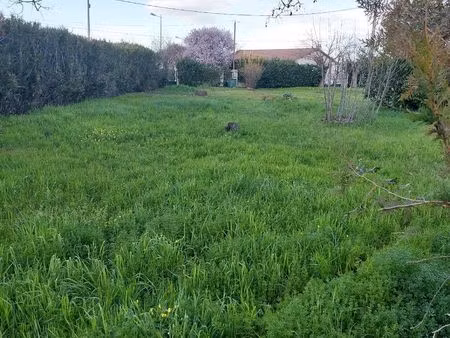 terrain constructible