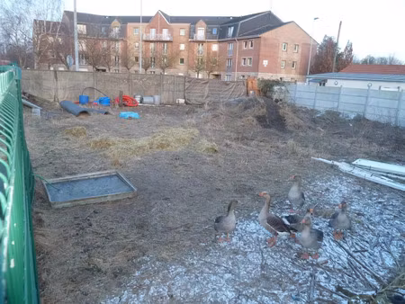 vente terrain 384 m² neuville-saint-rémy (59554)