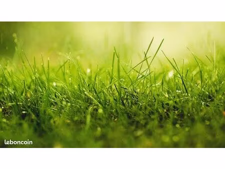 terrain 496 m² pagny sur moselle