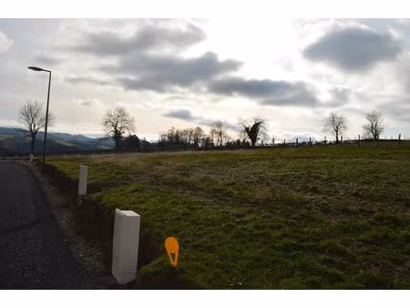 vente terrain à saint-martin-d'estréaux (42620)  16 828 €