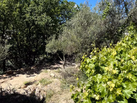 terrain sollies toucas 1410 m2