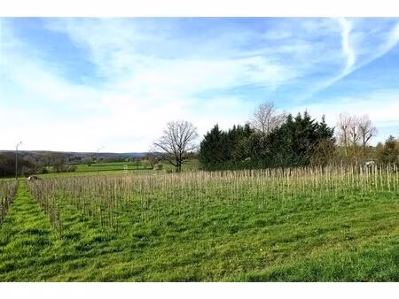 très beau terrain en zone d'habitat