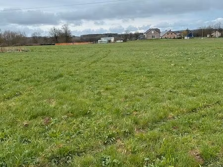 terrain viabilisé constructible