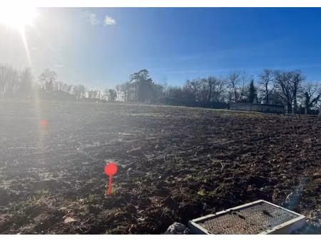 vente terrain 600 m² à targon (33760)  86 000 €