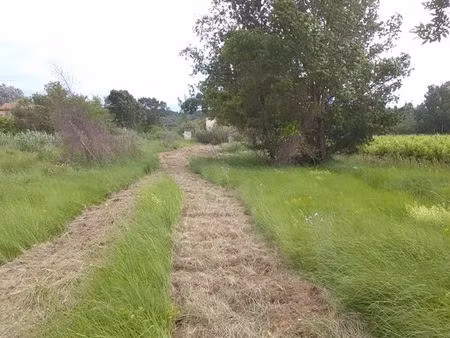 terrain de loisirs  potager