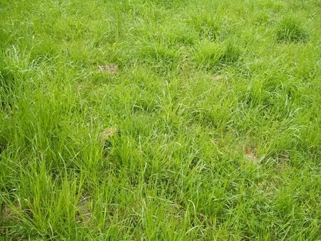 en vente terrain non constructible 275 m² – 39 500 € |la bruffière