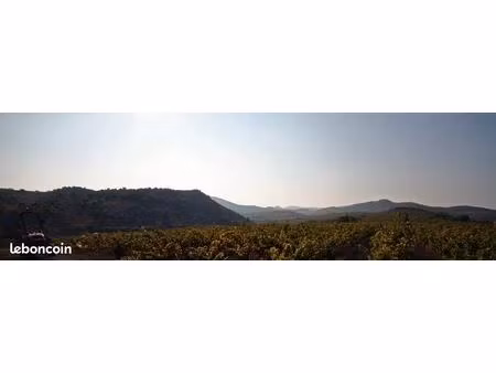 domaine viticole avec belle maison et piscine