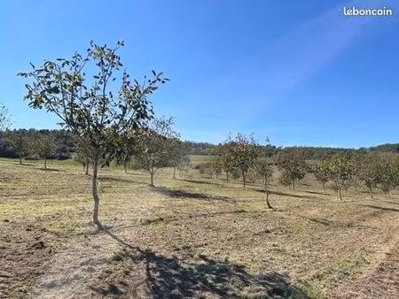 terrain 3 593 m² saint cybranet