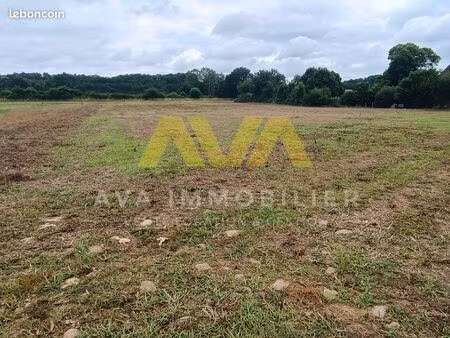 terrain 1310 m² tabaille-usquain