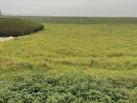 terrain 1348 m² wambaix