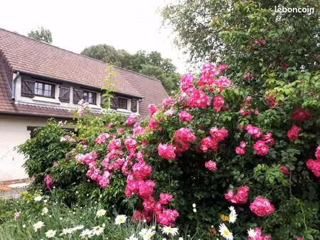 maison 7 pièces 216 m²