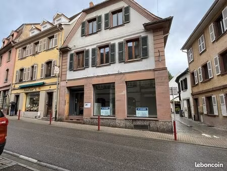 local commercial 160 m² munster