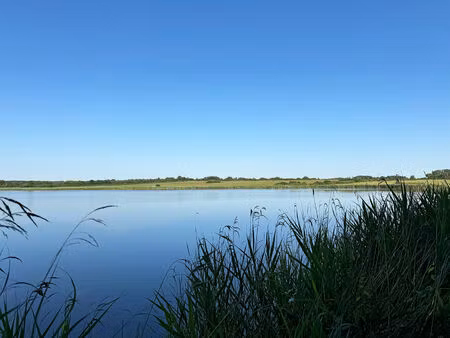 territoire de pêche  chasse & agrément en brenne 41 hectares