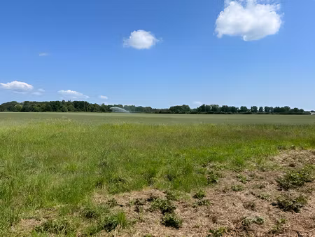 trevol  terrain constructible et viabiisé