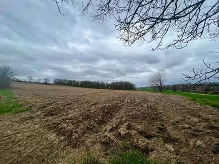 belle terre agricole