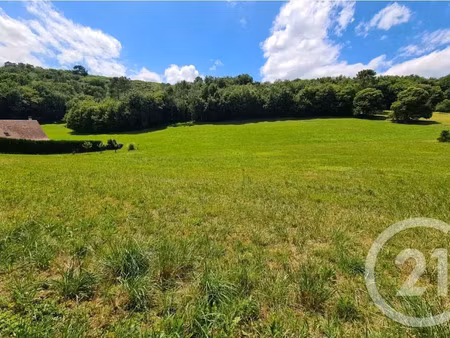 vente terrain à batir 2884 m² à saint-vincent-le-paluel (24200)  49 500 €