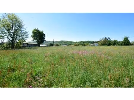 vente terrain 2446 m² aulon (31420)