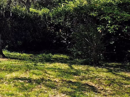 vente terrain 3000 m² saint-martin-de-laye (33910)