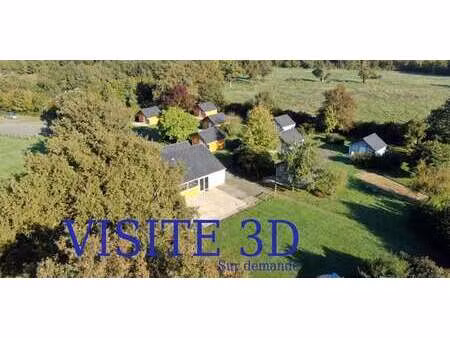 maison avec piscine et terrasse cande (49)