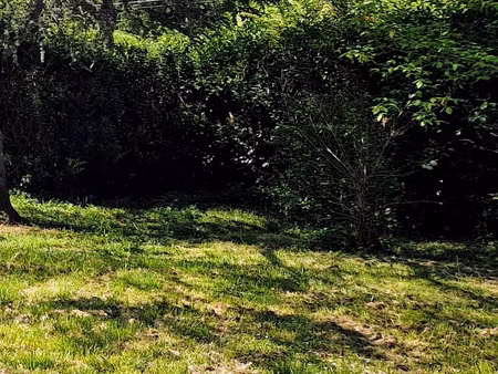 a vendre terrain de 4400 m2 constructible à saint martin de laye