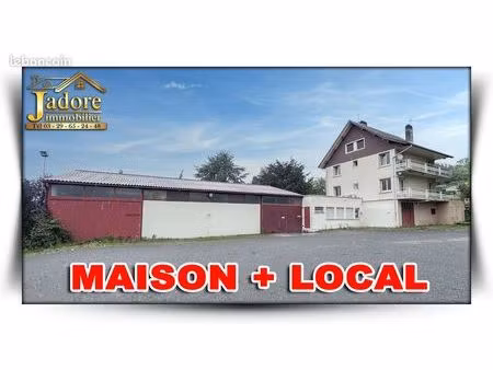 maison 993 m² st die