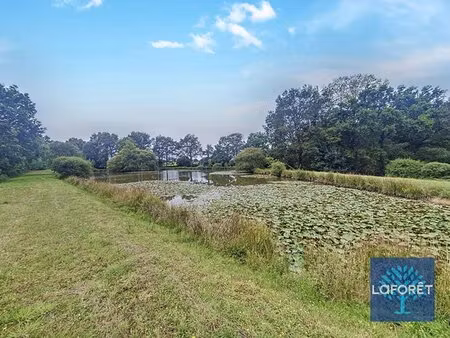 en vente terrain non constructible – 54 800 € |la ferrière