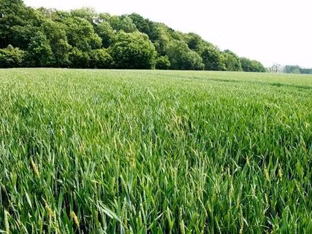 terrain à vendre à evelette € 885.000 (kxw59) - comptoir foncier | zimmo