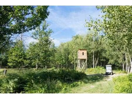 maison de luxe à vendre à isdes : 2 099 000 € | 710m²