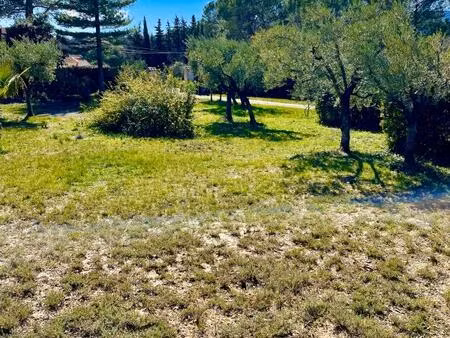 vente terrain 1000 m² brignoles (83170)