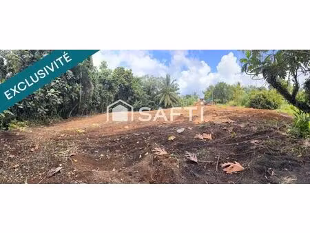 terrain plat  viabilisable – 1 346 m² – gros-morne – à saisir !