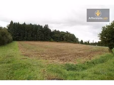 vente terrain à guégon (56120) : à vendre / 5m² guégon
